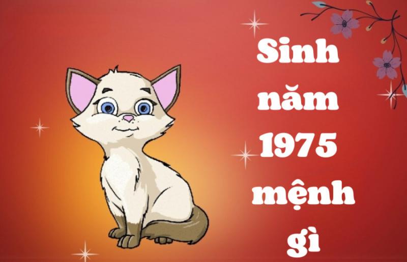 Tìm hiểu về màu sắc tương sinh cho người tuổi Ất Mão sinh năm 1975, bao gồm màu trắng, xám và bạc theo mệnh Kim.